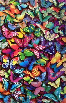 Butterflies
